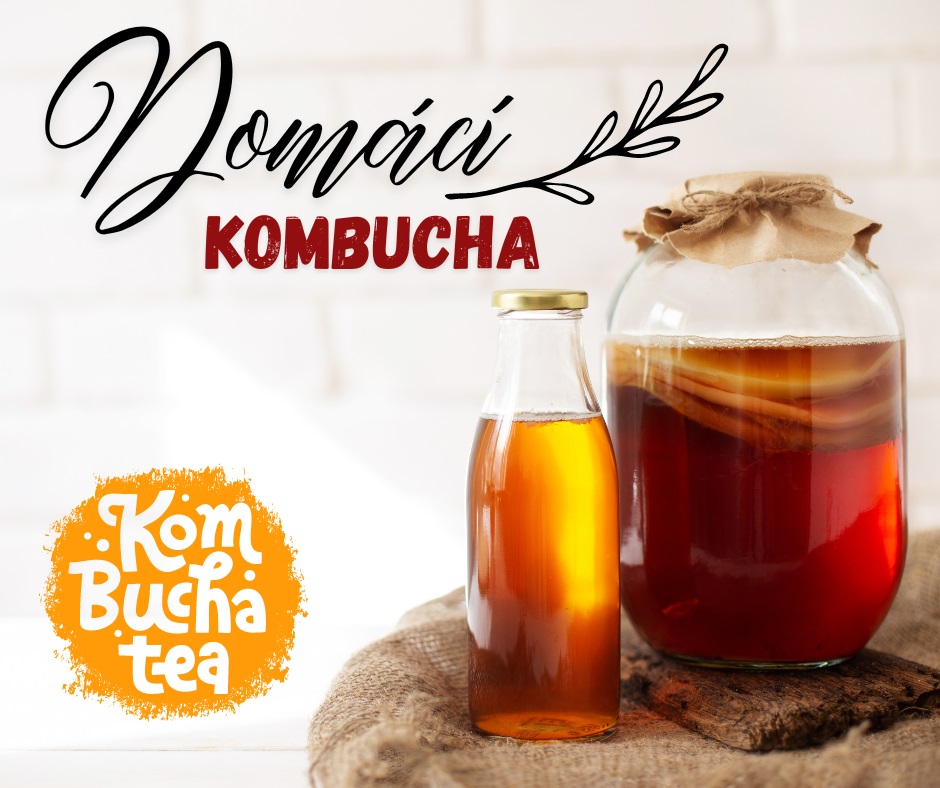 Domácí kombucha.